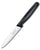 Victorinox paring knife - 10 cm blade