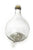 5 L glass demijohn