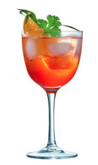 Verre Nick & Nora 15 cl de Chef & Sommelier - Boîte de 6